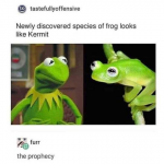 Kermit.png